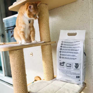 민토리님이 올린 리뷰 사진 3