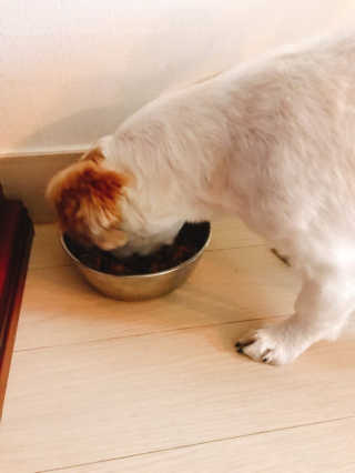 고태님이 올린 리뷰 사진 2