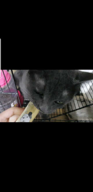 옹알이님이 올린 리뷰 사진 2