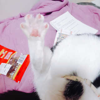 한라봉님이 올린 리뷰 사진 3