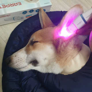 ㅈㅎ님이 올린 리뷰 사진 1