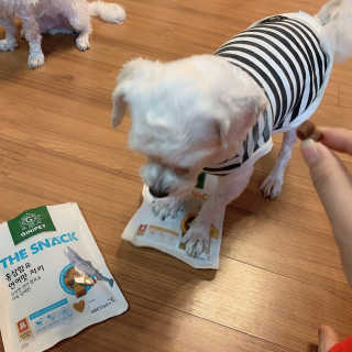 로초눈님이 올린 리뷰 사진 3