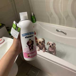 보니타님이 올린 리뷰 사진 1
