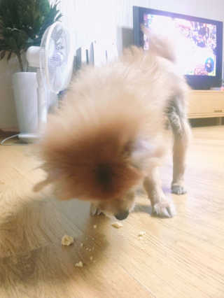 winniesujin님이 올린 리뷰 사진 2