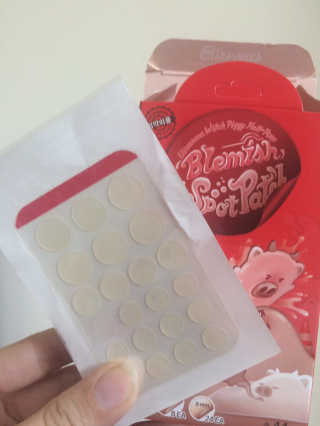 CassCCCC님이 올린 리뷰 사진 2