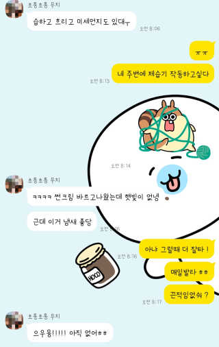다슈코리아 다슈 데일리 라이트 핏 선젤 — 5점을 준 리뷰어가 2019년 7월 올린 사용 사진