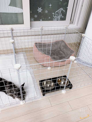 채리야님이 올린 리뷰 사진 3