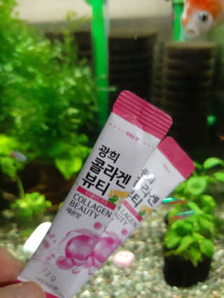 광희생활건강 광희 콜라겐뷰티 — 4.5점을 준 리뷰어가 2019년 12월 올린 사용 사진