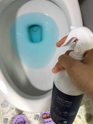 셀로몬 토일렛 스프레이 500ml — 5점을 준 리뷰어가 2018년 5월 올린 사용 사진