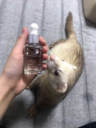 주진님이 올린 리뷰 사진 3
