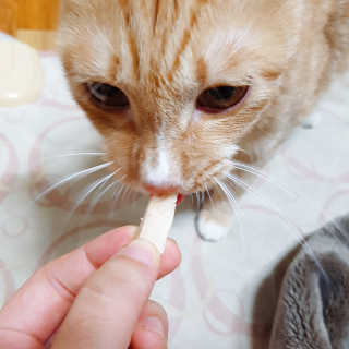 르네링님이 올린 리뷰 사진 2