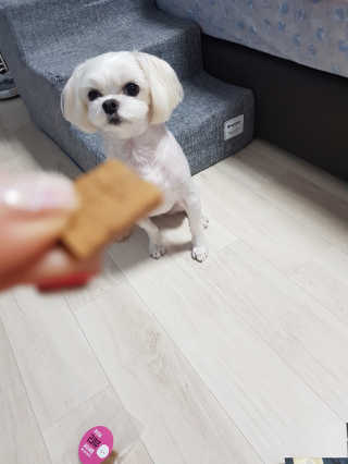 나란여자🤦‍♀️🤷‍♀️💁‍♀️님이 올린 리뷰 사진 1