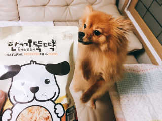 [펫토리아] 맛도 영양도 BEST 한끼뚝딱 강아지 사료 — 5점을 준 리뷰어가 2018년 12월 올린 사용 사진