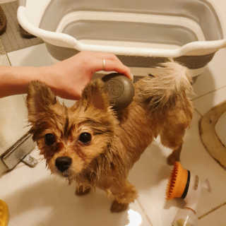 은선이짱님이 올린 리뷰 사진 4