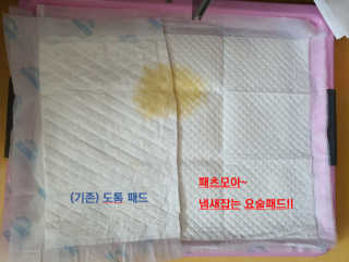 페츠모아 냄새잡는 요술배변패드 — 4.5점을 준 리뷰어가 2020년 3월 올린 사용 사진