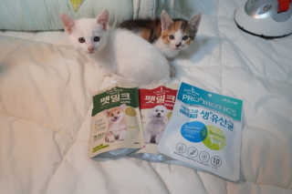 [빙그레] 에버그로 생유산균 1봉（10포입）+펫밀크2팩 — 5점을 준 리뷰어가 2019년 5월 올린 사용 사진