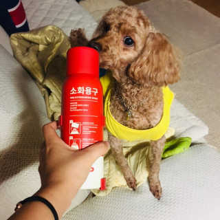 ChoiHaYoung님이 올린 리뷰 사진 2