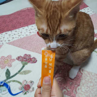 dutxod님이 올린 리뷰 사진 3