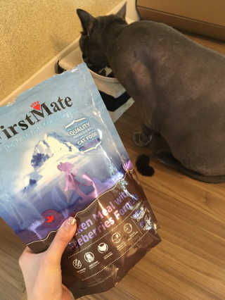 [펫토리아] 퍼스트메이트 고양이 사료 — 5점을 준 리뷰어가 2019년 3월 올린 사용 사진