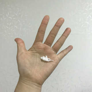 z째날z님이 올린 리뷰 사진 2