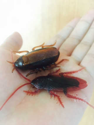 황퐝퐝님이 올린 리뷰 사진 1