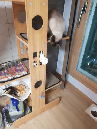 사키나이리님이 올린 리뷰 사진 2