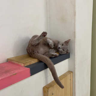 뚝쁘님이 올린 리뷰 사진 4