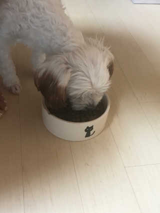 김남호님이 올린 리뷰 사진 2