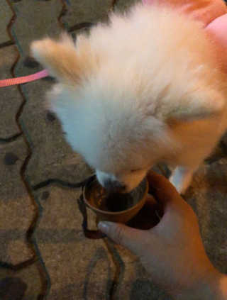 럽영님이 올린 리뷰 사진 3