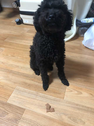 콩자엄마님이 올린 리뷰 사진 3