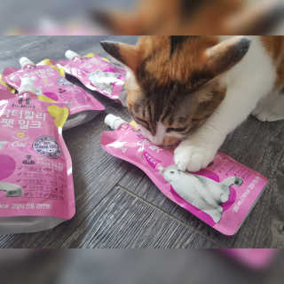 코코민네님이 올린 리뷰 사진 2