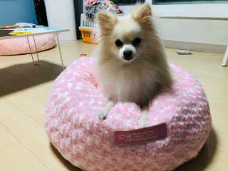 뚜지츄님이 올린 리뷰 사진 3