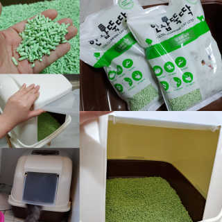 [펫토리아] BEST 고양이두부모래 6L 한삽뚝딱 — 5점을 준 리뷰어가 2019년 2월 올린 사용 사진