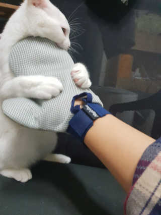 옹님이 올린 리뷰 사진 1
