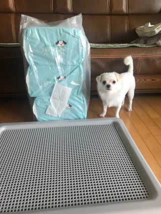 김유경님이 올린 리뷰 사진 2