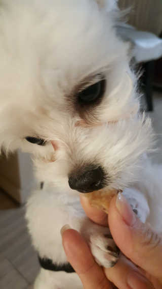 망고우쭈쭈님이 올린 리뷰 사진 3