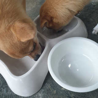 홍소바리님이 올린 리뷰 사진 3