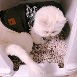 옘둥님이 올린 리뷰 사진 2