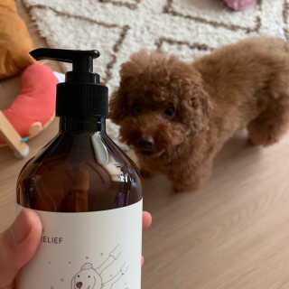투밍님이 올린 리뷰 사진 1