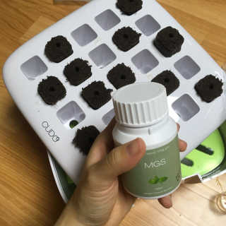 은치치님이 올린 리뷰 사진 4