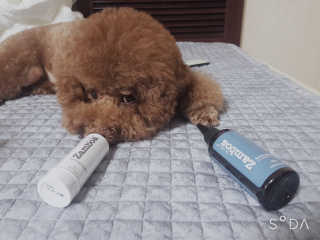 쪼꼬짱님이 올린 리뷰 사진 1