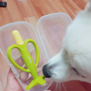 rucy님이 올린 리뷰 사진 4