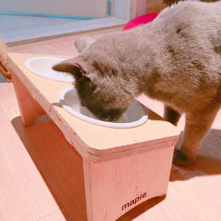 나는펫 100% 국산닭가슴살1BOX/30입 — 4.5점을 준 리뷰어가 2016년 12월 올린 사용 사진