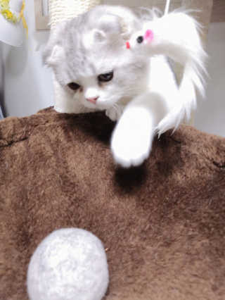 이지유님이 올린 리뷰 사진 1