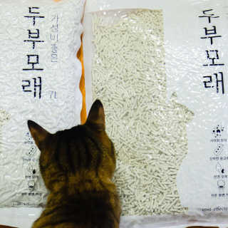 2019yaap님이 올린 리뷰 사진 1