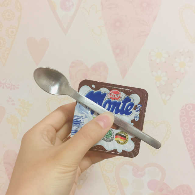 몬테밀크디저트 초코&바닐라 리뷰 사진