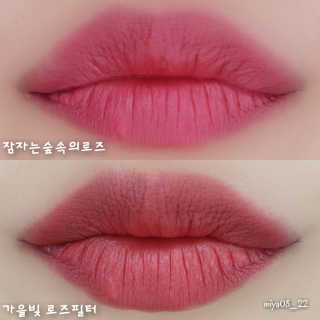 [블랙루즈] 로즈 벨벳 립스틱 택1+랜덤1 — 4.33점을 준 리뷰어가 2019년 1월 올린 사용 사진