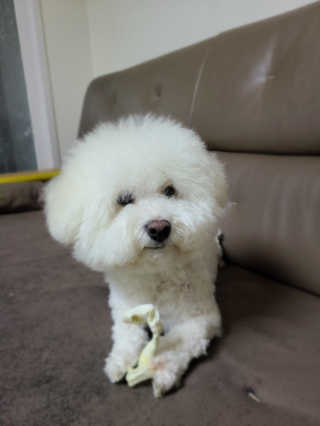 pms415님이 올린 리뷰 사진 3