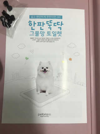[펫토리아] 한판뚝딱 강아지 배변판 실속형,초대형 — 5점을 준 리뷰어가 2019년 5월 올린 사용 사진