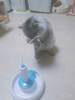 혀니쿵이짝이맘님이 올린 리뷰 사진 3